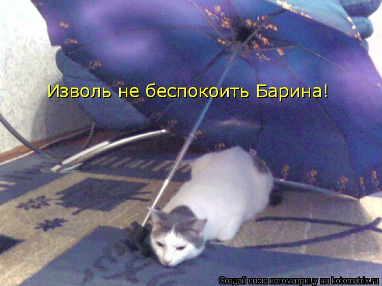 Изволь не беспокоить Барина!... Котоматрица: Изволь не беспокоить Барина!
