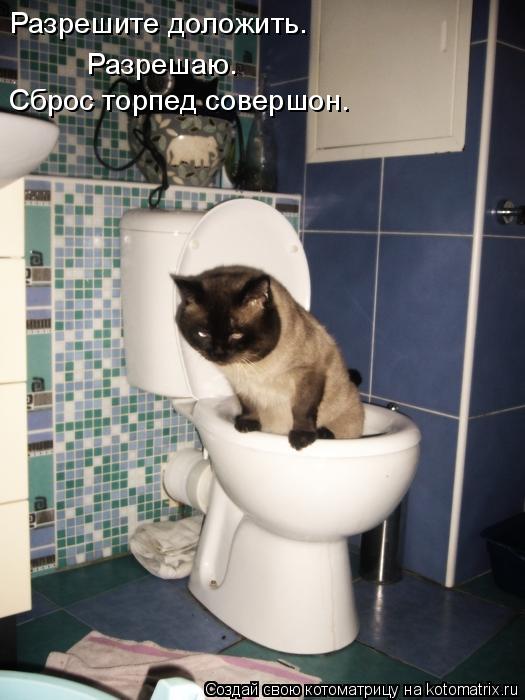 Разрешите доложить. Разрешаю. Сброс торпед совершон.... Котоматрица: Разрешите доложить. Разрешаю. Сброс торпед совершон.