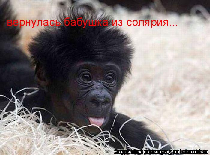 вернулась бабушка из солярия...... Котоматрица: вернулась бабушка из солярия...