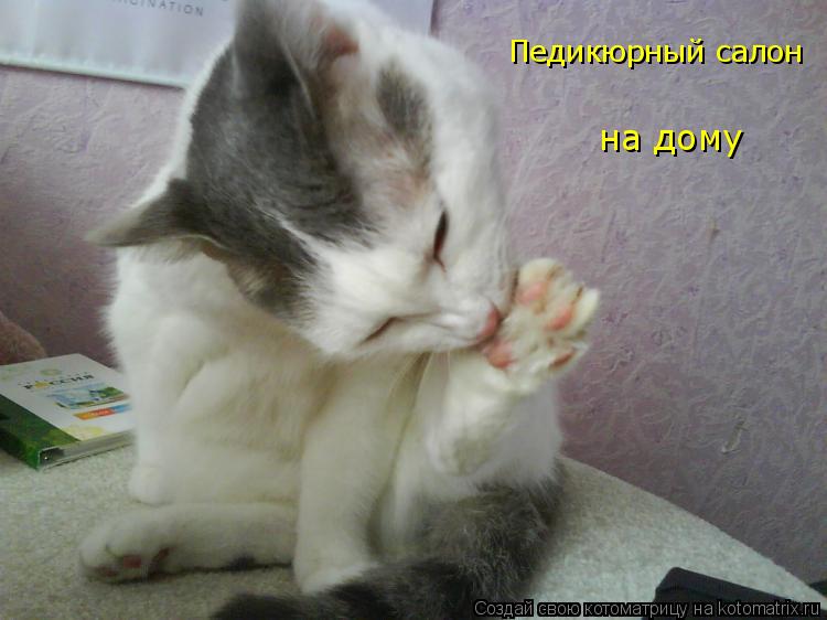 Педикюрный салон на дому на дому... Котоматрица: Педикюрный салон на дому на дому