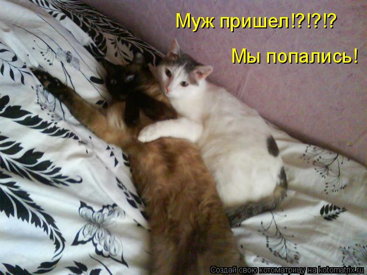 Муж пришел!?!?!? Мы попались!... Котоматрица: Муж пришел!?!?!? Мы попались!