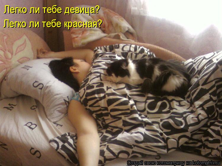 Легко ли тебе девица? Легко ли тебе красная?... Котоматрица: Легко ли тебе девица? Легко ли тебе красная?