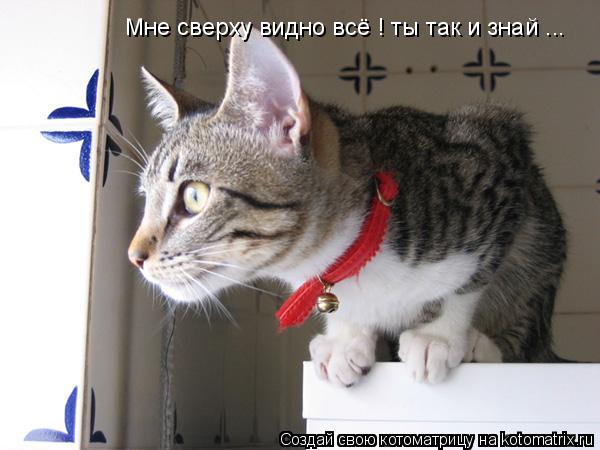 Мне сверху видно всё ! ты так и знай ...... Котоматрица: Мне сверху видно всё ! ты так и знай ...
