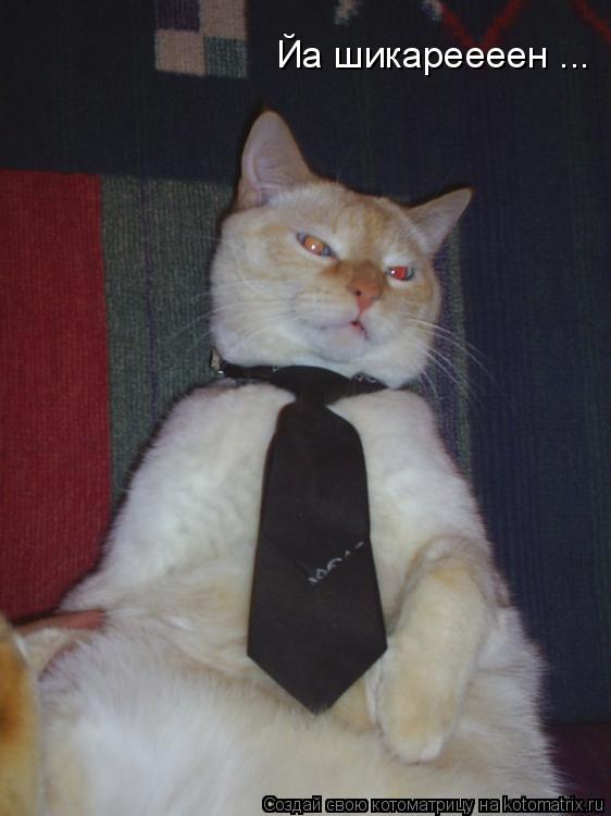 Йа шикареееен ...... Котоматрица: Йа шикареееен ...