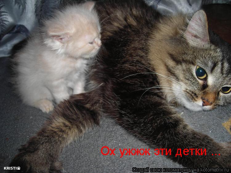 Ох ужжж эти детки ...... Котоматрица: Ох ужжж эти детки ...