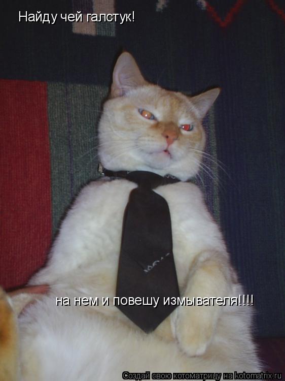 Найду чей галстук! на нем и повешу измывателя!!!!... Котоматрица: Найду чей галстук! на нем и повешу измывателя!!!!