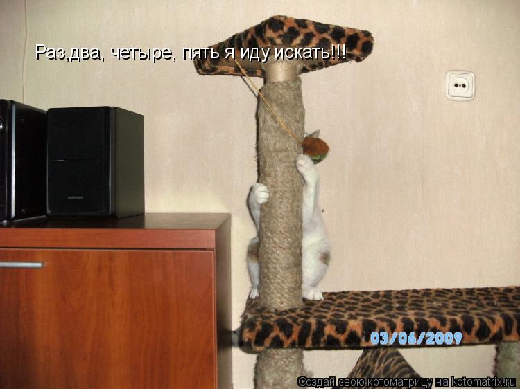 Раз,два, четыре, пять я иду искать!!!... Котоматрица: Раз,два, четыре, пять я иду искать!!!