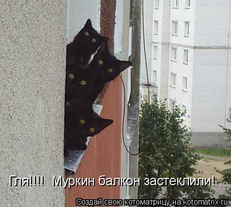Гля!!!! Муркин балкон застеклили!... Котоматрица: Гля!!!! Муркин балкон застеклили!