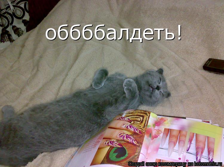 оббббалдеть!... Котоматрица: оббббалдеть!