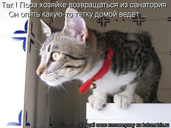 Так ! Пора хозяйке возвращаться из санатория Он опять какую-то тётку домой ведёт ...... Котоматрица: Так ! Пора хозяйке возвращаться из санатория Он опять какую-то тётку домой ведёт ...