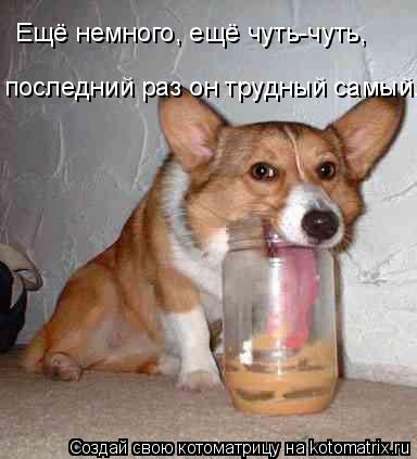 Ещё немного, ещё чуть-чуть, последний раз он трудный самый...... Котоматрица: Ещё немного, ещё чуть-чуть, последний раз он трудный самый...