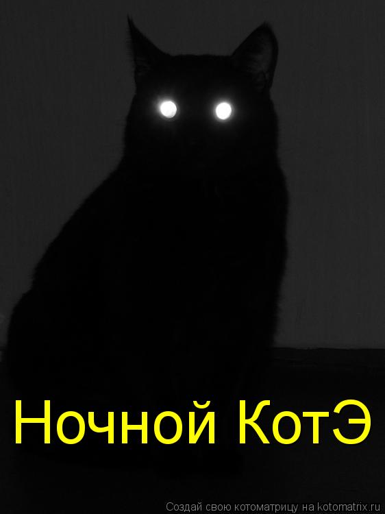 Ночной КотЭ... Котоматрица: Ночной КотЭ
