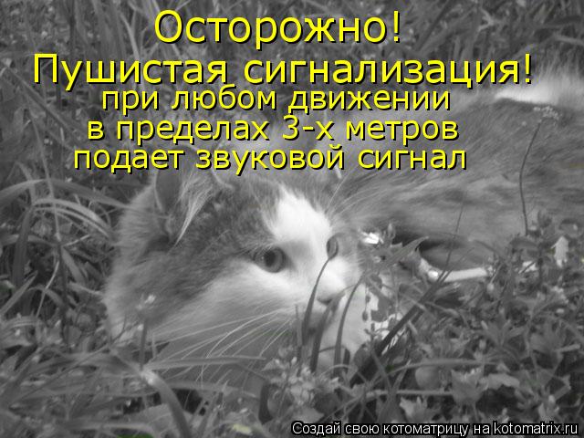 Осторожно! Пушистая сигнализация! при любом движении в пределах 3-х метров подает звуковой сигнал... Котоматрица: Осторожно! Пушистая сигнализация! при любом движении в пределах 3-х метров подает звуковой сигнал