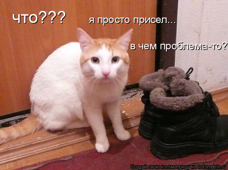 что??? я просто присел... в чем проблема-то?... Котоматрица: что??? я просто присел... в чем проблема-то?