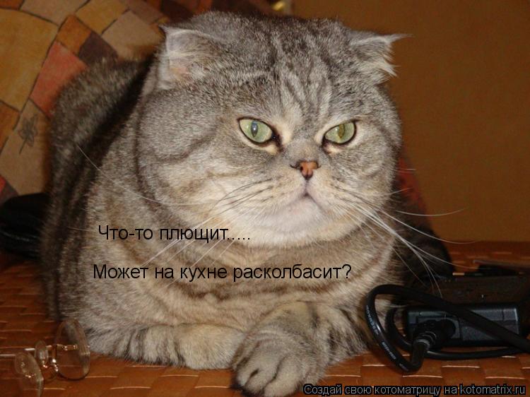 Что-то плющит..... Может на кухне расколбасит?... Котоматрица: Что-то плющит..... Может на кухне расколбасит?