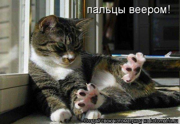 пальцы веером!... Котоматрица: пальцы веером!