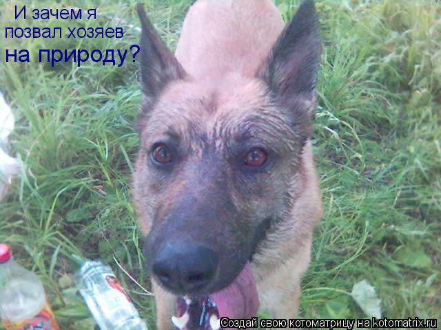 И зачем я позвал хозяев на природу?... Котоматрица: И зачем я позвал хозяев на природу?