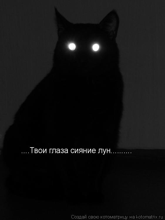 ....Твои глаза сияние лун............. Котоматрица: ....Твои глаза сияние лун..........