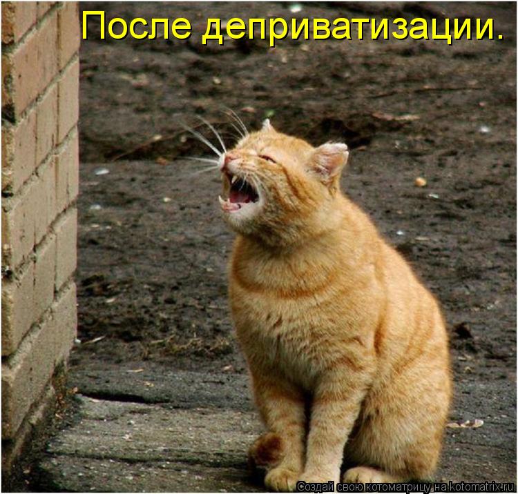 После деприватизации.... Котоматрица: После деприватизации.