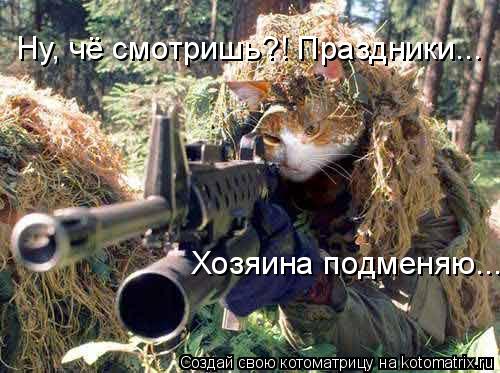 Ну, чё смотришь?! Праздники... Хозяина подменяю...... Котоматрица: Ну, чё смотришь?! Праздники... Хозяина подменяю...