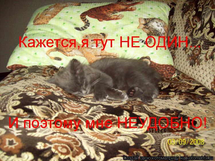 Кажется,я тут НЕ ОДИН... И поэтому мне НЕУДОБНО!... Котоматрица: Кажется,я тут НЕ ОДИН... И поэтому мне НЕУДОБНО!