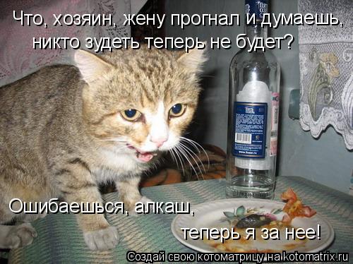 Что, хозяин, жену прогнал и думаешь, никто зудеть теперь не будет? Ошибаешься, алкаш, теперь я за н... Котоматрица: Что, хозяин, жену прогнал и думаешь, никто зудеть теперь не будет? Ошибаешься, алкаш, теперь я за нее!