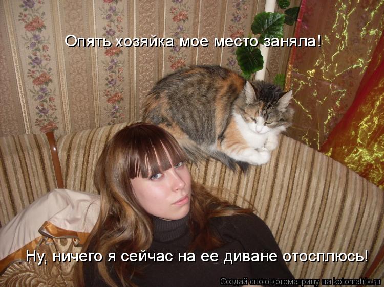 Опять хозяйка мое место заняла! Ну, ничего я сейчас на ее диване отосплюсь!... Котоматрица: Опять хозяйка мое место заняла! Ну, ничего я сейчас на ее диване отосплюсь!