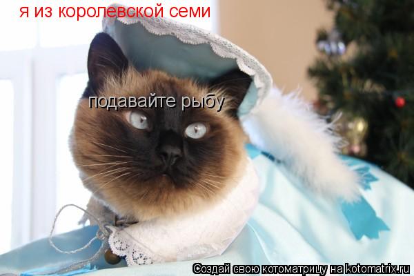 я из королевской семи подавайте рыбу... Котоматрица: я из королевской семи подавайте рыбу