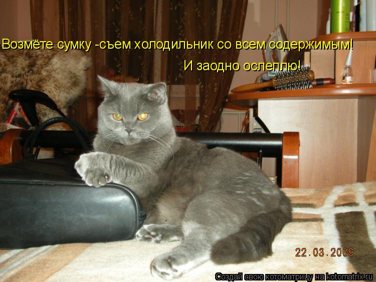 Возмёте сумку -съем холодильник со всем содержимым! И заодно ослеплю!... Котоматрица: Возмёте сумку -съем холодильник со всем содержимым! И заодно ослеплю!