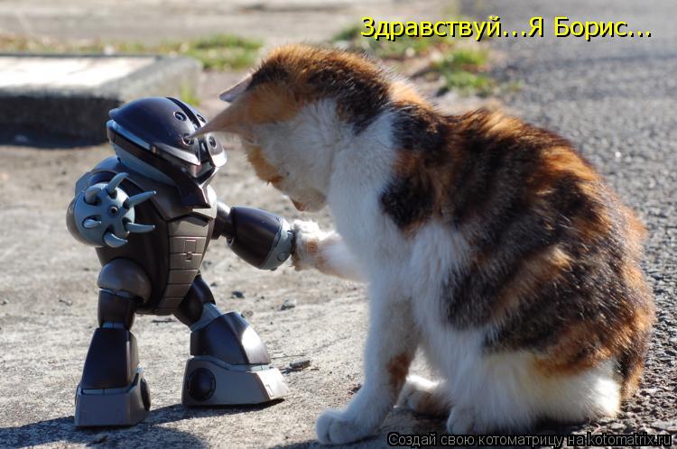 Здравствуй...Я Борис...... Котоматрица: Здравствуй...Я Борис...