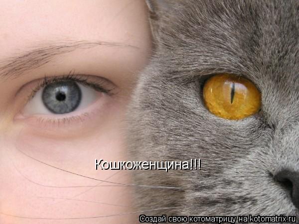Кошкоженщина!!!... Котоматрица: Кошкоженщина!!!