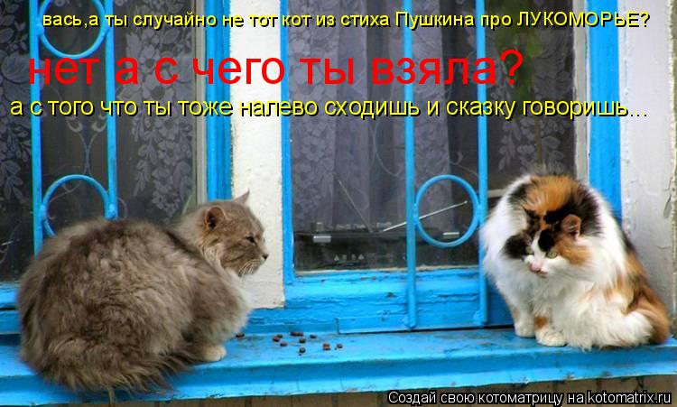 вась,а ты случайно не тот кот из стиха Пушкина про ЛУКОМОРЬЕ? нет а с чего ты взяла? а с того что ты ... Котоматрица: вась,а ты случайно не тот кот из стиха Пушкина про ЛУКОМОРЬЕ? нет а с чего ты взяла? а с того что ты тоже налево сходишь и сказку говоришь...