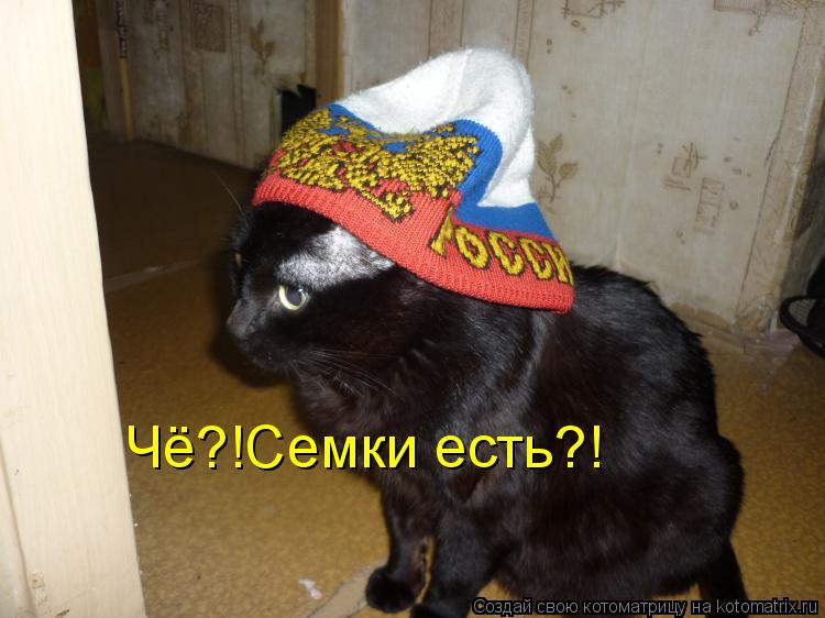 Чё?!Семки есть?!... Котоматрица: Чё?!Семки есть?!
