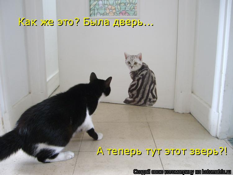 Как же это? Была дверь... А теперь тут этот зверь?!... Котоматрица: Как же это? Была дверь... А теперь тут этот зверь?!