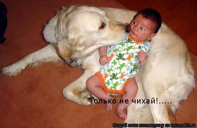 Только не чихай!........ Котоматрица: Только не чихай!.....