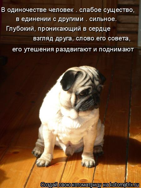 В одиночестве человек — слабое существо, в единении с другими — сильное. Глубокий, проникающий в серд... Котоматрица: В одиночестве человек — слабое существо, в единении с другими — сильное. Глубокий, проникающий в сердце взгляд друга, слово его совета, его