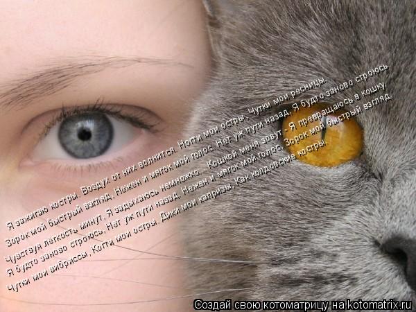 Я зажигаю костры. Воздух от них волнится. Ногти мои остры, Чутки мои ресницы. Зорок мой быстрый взгля... Котоматрица: Я зажигаю костры. Воздух от них волнится. Ногти мои остры, Чутки мои ресницы. Зорок мой быстрый взгляд, Нежен и мягок мой голос. Нет уж пути на