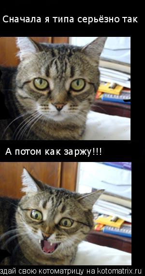 Сначала я типа серьёзно так А потом как заржу!!!... Котоматрица: Сначала я типа серьёзно так А потом как заржу!!!