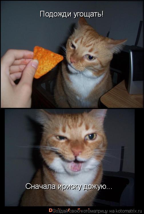 Подожди угощать! Сначала ириску дожую...... Котоматрица: Подожди угощать! Сначала ириску дожую...