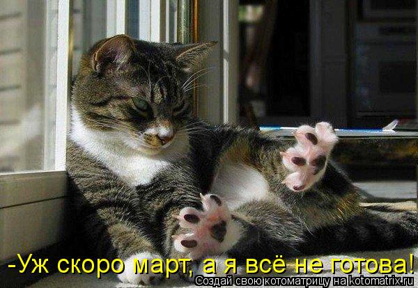 Котоматрица: -Уж скоро март, а я всё не готова!