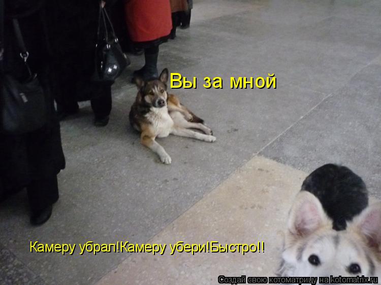 Вы за мной Камеру убрал!Камеру убери!Быстро!!... Котоматрица: Вы за мной Камеру убрал!Камеру убери!Быстро!!