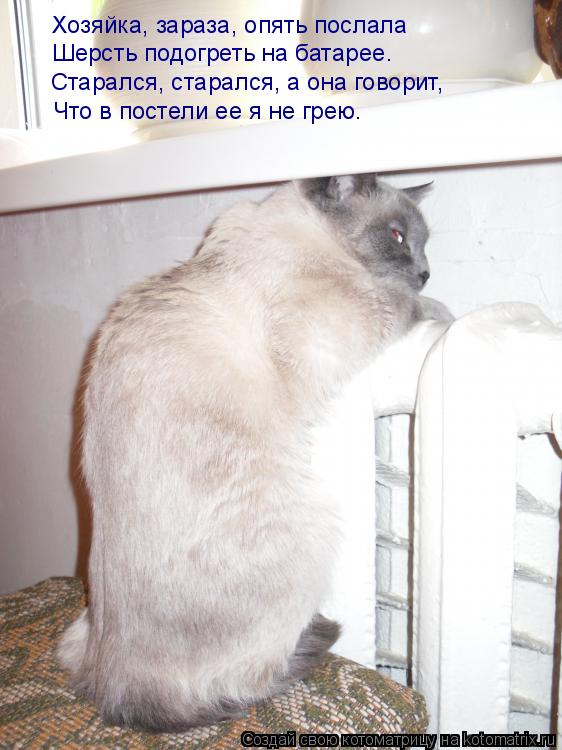 Котоматрица: Хозяйка, зараза, опять послала Шерсть подогреть на батарее. Старался, старался, а она говорит, Что в постели ее я не грею.