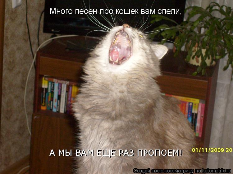Много песен про кошек вам спели, А МЫ ВАМ ЕЩЕ РАЗ ПРОПОЕМ!... Котоматрица: Много песен про кошек вам спели, А МЫ ВАМ ЕЩЕ РАЗ ПРОПОЕМ!