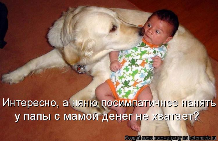 у папы с мамой денег не хватает? Интересно, а няню посимпатичнее нанять... Котоматрица: у папы с мамой денег не хватает? Интересно, а няню посимпатичнее нанять