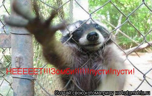 НЕЕЕЕЕТ!!!Зомби!!!!!!пусти!пусти!... Котоматрица: НЕЕЕЕЕТ!!!Зомби!!!!!!пусти!пусти!