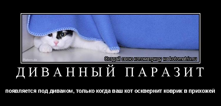 Диванный паразит появляется под диваном, только когда ваш кот осквернит коврик в прихожей... Котоматрица: Диванный паразит появляется под диваном, только когда ваш кот осквернит коврик в прихожей