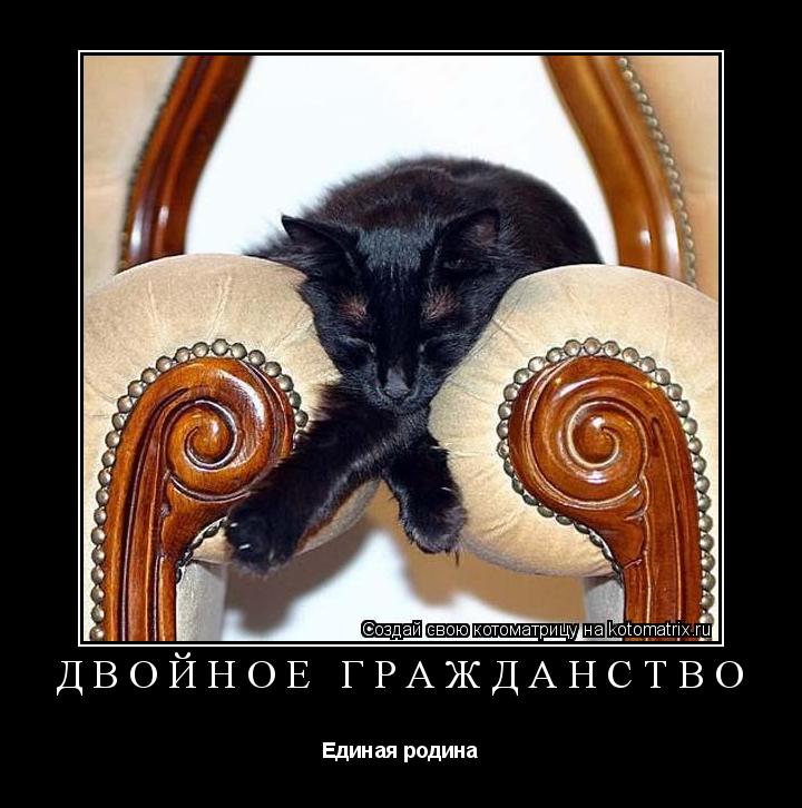 Двойное гражданство Единая родина... Котоматрица: Двойное гражданство Единая родина