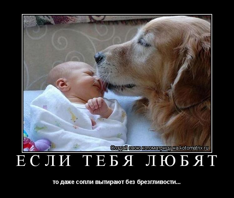 если тебя любят то даже сопли вытирают без брезгливости...... Котоматрица: если тебя любят то даже сопли вытирают без брезгливости...