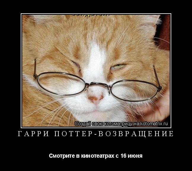 Гарри Поттер-возвращение Смотрите в кинотеатрах с 16 июня... Котоматрица: Гарри Поттер-возвращение Смотрите в кинотеатрах с 16 июня