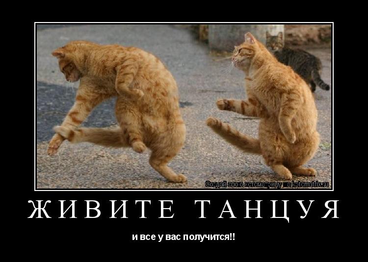 живите танцуя и все у вас получится!!... Котоматрица: живите танцуя и все у вас получится!!